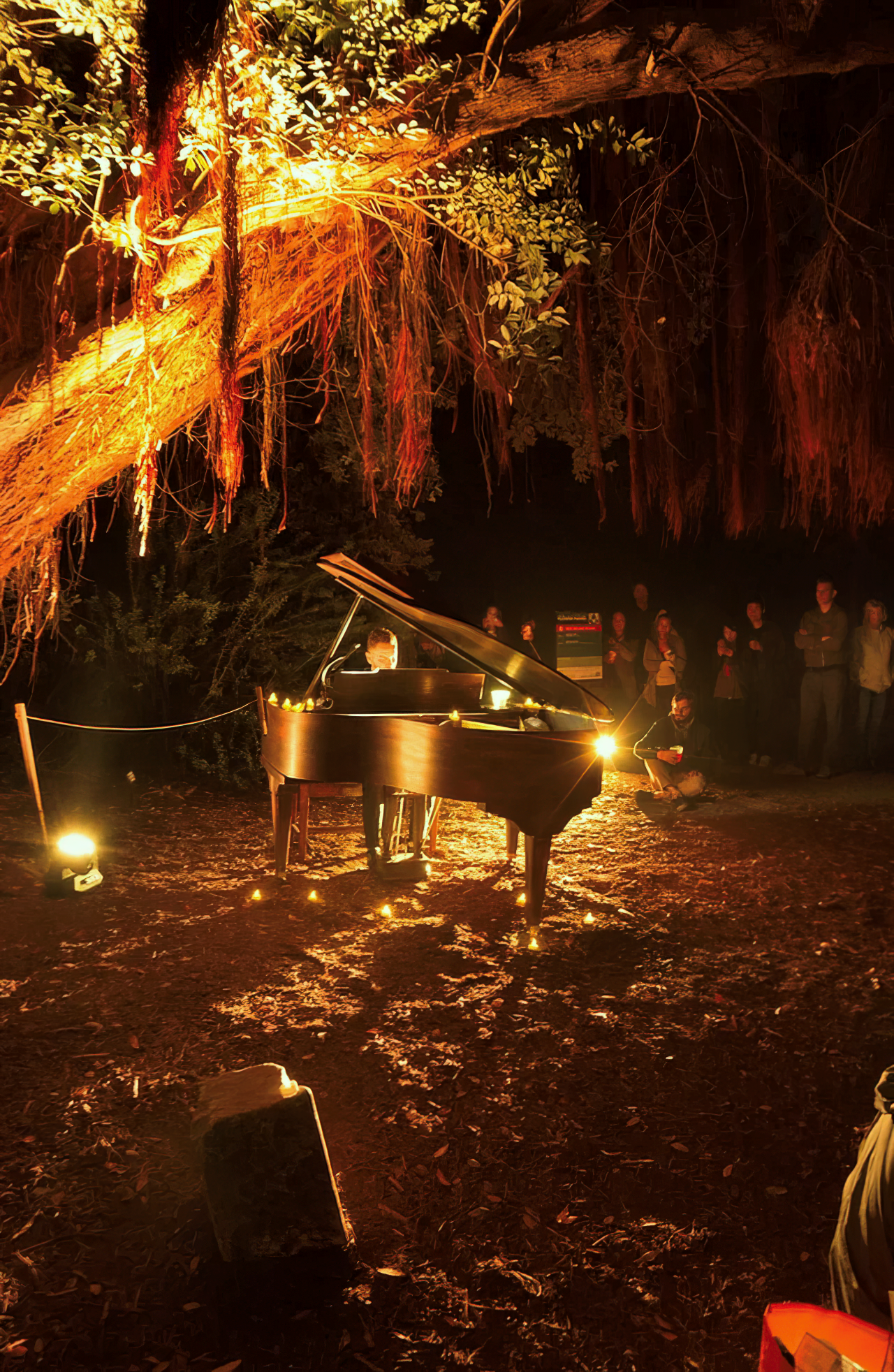 piano-under-the-tree